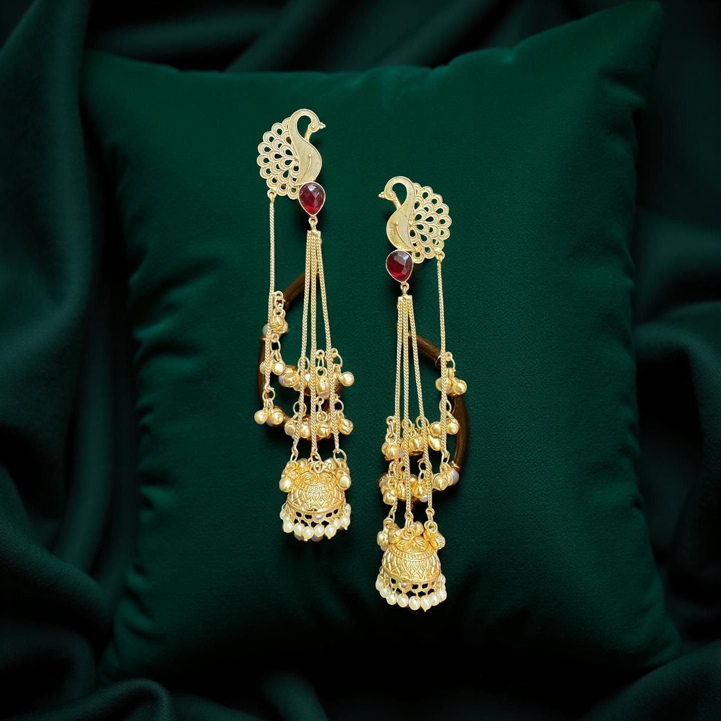 WhatsApp Image 2025-11-10 at 4.22.15 PM (1)